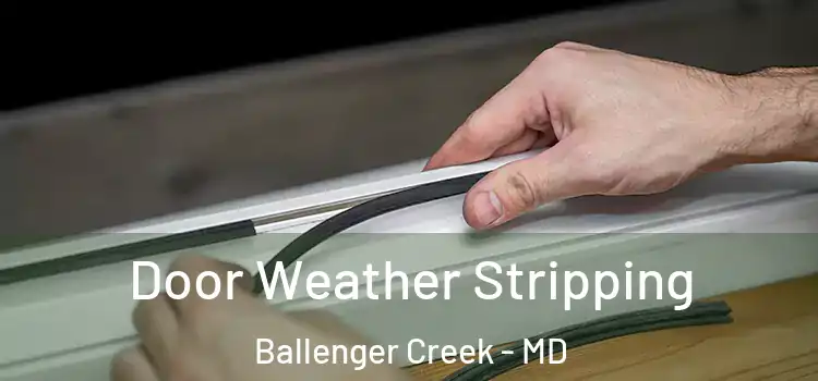 Door Weather Stripping Ballenger Creek - MD