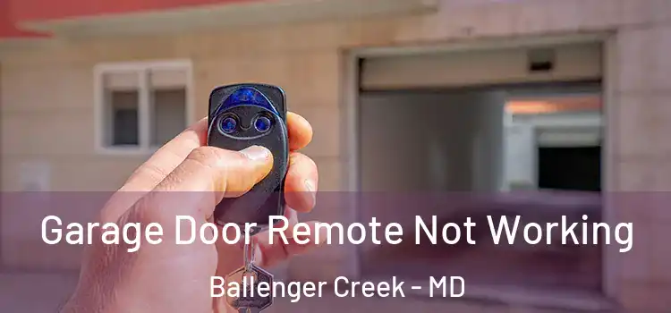  Garage Door Remote Not Working Ballenger Creek - MD