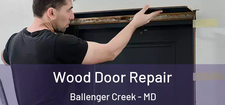  Wood Door Repair Ballenger Creek - MD